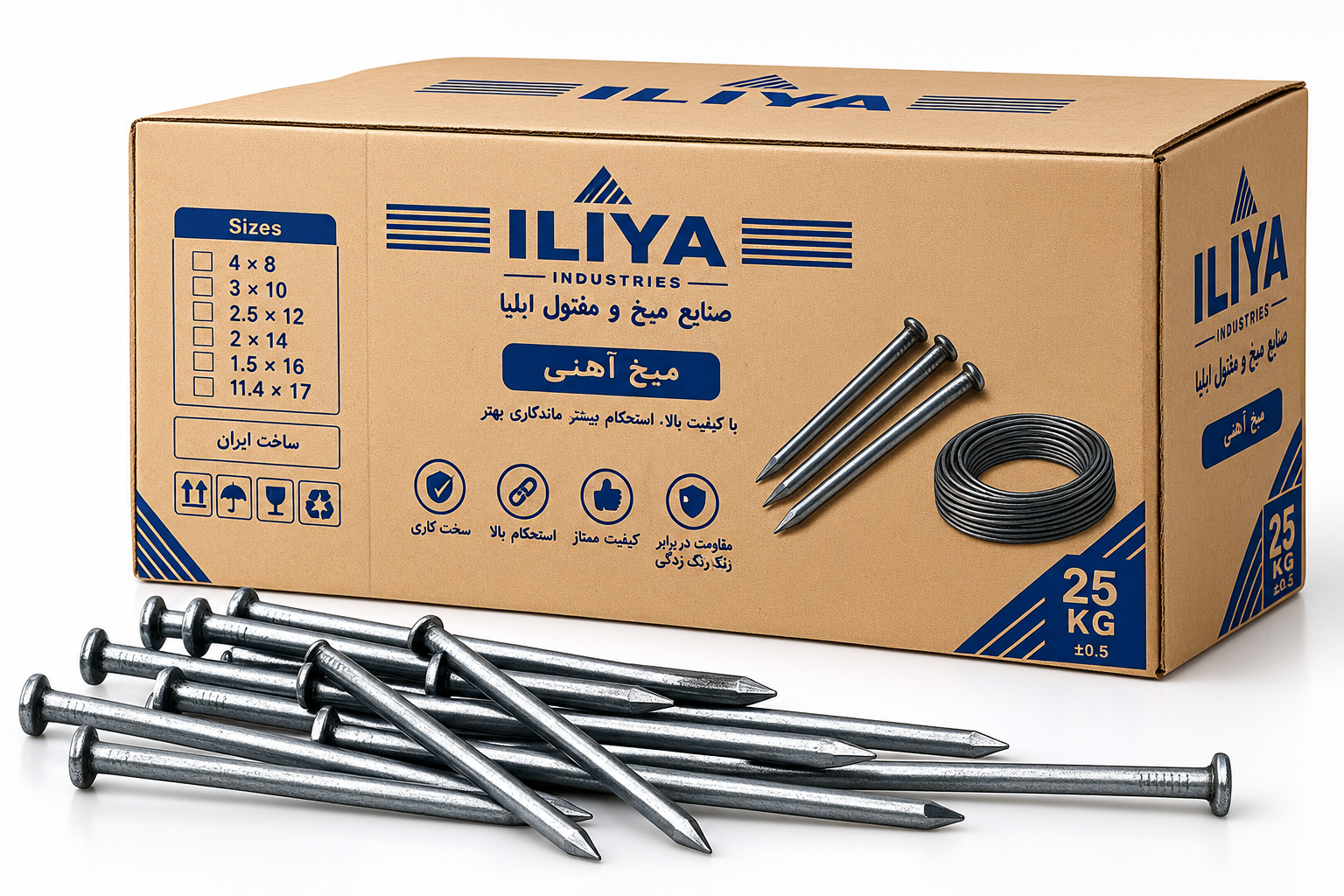 میخ آهنی ایلیا